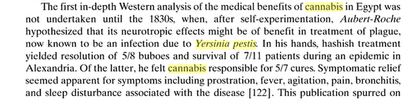 Cannabis pestis