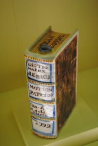 Motion patriot...hips